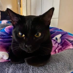 Meet your Posher, Marc